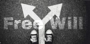 Do Humans Have Free Will