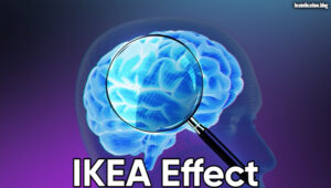 IKEA Effect